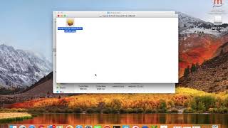 How To Install MySQL Server On mac [upl. by Akenor]