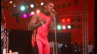 Living Colour  Cult of Personality Live at Roskilde 1989 [upl. by Atiuqrahs529]