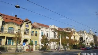 European Avenue street Osijek [upl. by Zennas495]