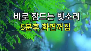 불면증에 좋은 바로 잠드는 빗소리 ASMR 4시간 5분후 화면꺼짐 the sound of rain [upl. by Sirak255]