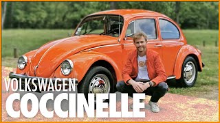 Volkswagen COCCINELLE 1972 🇩🇪 On a tous un souvenir en Cox quel est le votre  👌 [upl. by Eema]