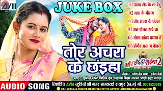 Mor Chhaiya Bhuiya 2  Cg Film Song  Tor Achara Ke Chhaiya  AudioJukebox  Man Diksha Elsa Deepak [upl. by Sivatco]