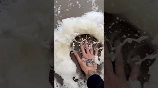 Extremely Satisfying Smashing Ocean Bubbles shorts [upl. by Relly]