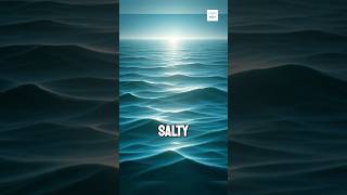 Why Is the Ocean Salty [upl. by Aldrich]