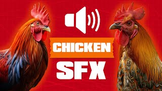 Chicken Chicks and Rooster Sound SFX 🐔 [upl. by Teraj]