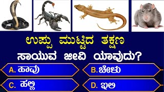 ಸಾಮಾನ್ಯ ಜ್ಞಾನ ರಸಪ್ರಶ್ನೆgeneral knowledge quizGK Kannada quiz unknown facts in KannadagkEP 124gk [upl. by Mab]