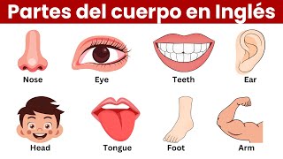 Las Partes del Cuerpo en Inglés [upl. by Coopersmith]