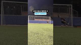 Best saves from Week 2 of Goalkeeper Training goalkeepersaves goalkeeper goalkeepertraining [upl. by Whitford892]