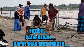 MANCING GARONG MANCING SENGGET DI PINTU AIRDAPAT IKAN BERBENTUK ANEH DAN BIKIN HERAN ORANG BANYAK [upl. by Waddle]