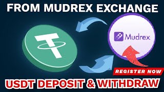 Mudrex Best Crypto Exchange Buy USDT Using UPI  How To Deposit amp Transfer Crypto Mudrex Exchange [upl. by Vacuva]