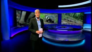 BBC Newsnight  From New Broadcasting House 231012 [upl. by Adnovay80]