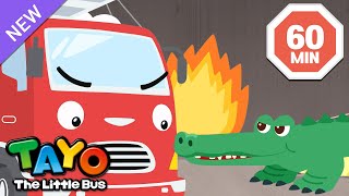 Tayo Animal Rescue Team Full Compilation  Learn Animal Cartoons for Kids  Tayo the Little Bus [upl. by Barty108]