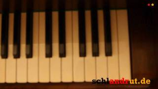 Uwu Lena  Piano Version Schland o Schland  Satellite [upl. by Eisak]