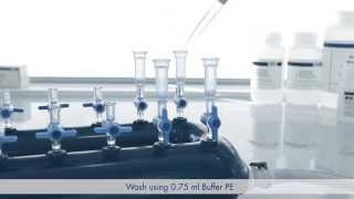 Protocol Plasmid DNA Purification using the QIAprep Spin Miniprep Kit and a Vacuum Manifold [upl. by Malchy]