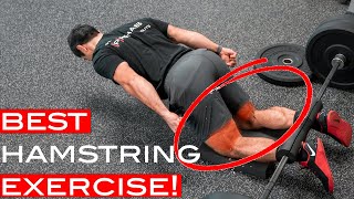 Master The Nordic Hamstring Curl to Improve Your Hamstring Strength [upl. by Nwhas836]