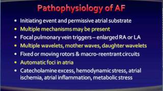 5 atrial fibrillation Pathophysiology [upl. by Sharp]