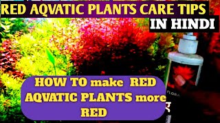 How To MAKE Red Aqvatic Plants MORE RED   secrets of red plants [upl. by Henden]