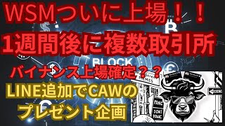 【WSM】ついに上場！！複数取引所上場のカウントダウン！！【ウォールストリートミームズ】【バイナンス上場】 [upl. by Anastas]