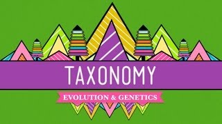 Taxonomy Lifes Filing System  Crash Course Biology 19 [upl. by Roe664]