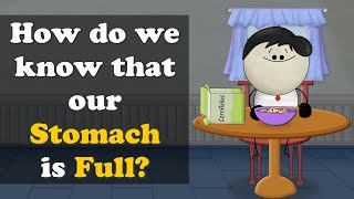 How do we know that our Stomach is Full  more videos  aumsum kids science education children [upl. by Aicertal]