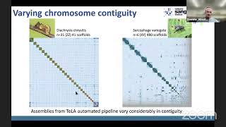 Tue 19 Sep 1100 UTC  Introduction to Manual Curation  HiC and JBrowse [upl. by Collum]