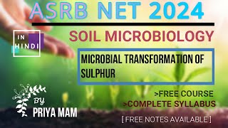 Microbial transformation of sulphur ASRB NET 2024 [upl. by Nochur]