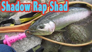 Rapala Shadow Rap Shad Trout Fishing Abu 2500C [upl. by Uis]