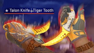 CS2  Talon Knife ★ Tiger Tooth  Factory New FN SHOWCASE [upl. by Munson]