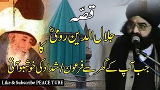 Peer Naseer ud Din Naseer  Story of Jalaluddin Rumi  Peace Tube [upl. by Onitrof]