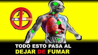 LO QUE PASA EN TU CUERPO CUANDO DEJAS DE FUMAR [upl. by Adiam]