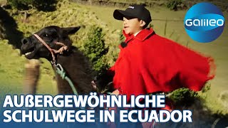 quotSorry mein Lama wollte nicht losquot  Außergewöhnlicher Schulweg in Ecuador [upl. by Aidul]