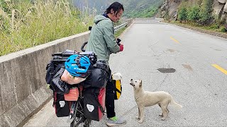 quotIf you follow us to campsiteIll take you inquotA stray dog followed a cycling couple for over 200 km [upl. by Silvers]