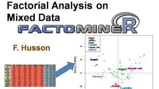 Factorial Analysis on Mixed Data [upl. by Enirhtak]