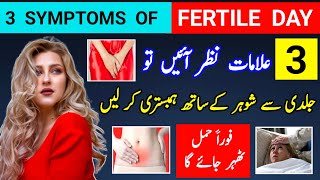 3 Symptoms Can Make You Pregnant in 24 Hours 3 Symptoms Of Fertile Day Egg Rupture Symptoms [upl. by Eelarac86]