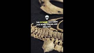 New Bones Every 710 Years  MOST Interesting Facts [upl. by Nitsirt]