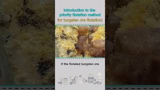 Introduction to the priority flotation method for tungsten ore flotation [upl. by Nueovas]