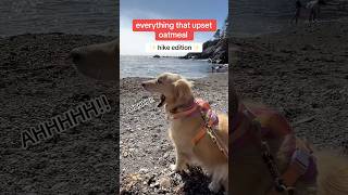 Hike Stillwater Cove in Jenner California dogadventure​⁠ hike sonomacountyregionalparks [upl. by Ailin]