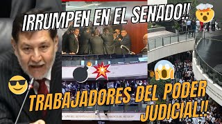 REVIENTAN Y TOMAN EL SENADO MANIFESTANTES EN CONTRA DE LA REFORMA AL PODER JUDICIAL ¡ENTÉRATE [upl. by Esnahc]