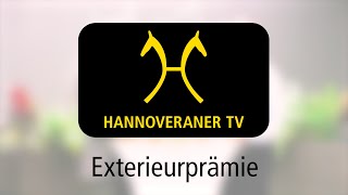 Hannoveraner TV Exterieurprämie [upl. by Aerbua]