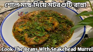 শোল মাছ রান্নাshol macher recipeshol macher jholseovidiqmotorshuti ranna recipeshol mach [upl. by Arundell]