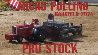 Pro Stock Micro Pulling Bargfeld 2024 [upl. by Aehsrop]