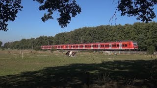 SBahn Hannover S4 Bennemühlen  Hannover Hbf [upl. by Davidoff581]