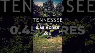 Land for Sale 045 Acres in TN [upl. by Simona]