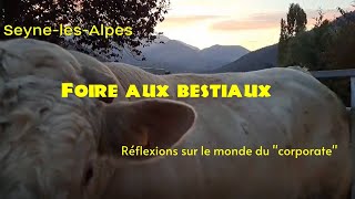 Foire aux bestiaux de SeynelesAlpes Réflexions sur le monde du quotcorporatequot [upl. by Oeram457]