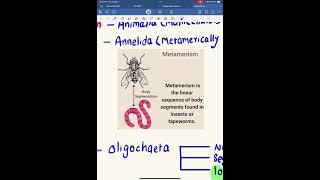 Metamerism of earthworm ceenepal biology mbbsentrance [upl. by Gwendolyn453]