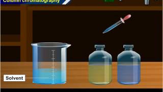 Adsorption Chromatography  11th Std  Chemistry  Science  Maharashtra Board  Home Revise [upl. by Conover875]