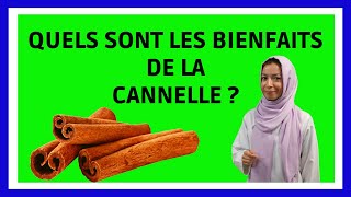 CANNELLE  bienfaits en moins de 3 min [upl. by Aruat]