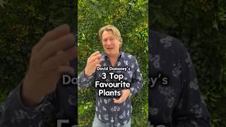 In the garden with daviddomoney sharing his 3 top favourite plants IdealHomeShow24 Gardening [upl. by Atekehs]