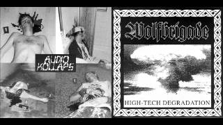 Wolfbrigade  Audio Kollaps FULL SPLIT [upl. by Aicirtak]