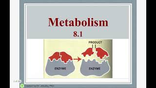 Topic 81 metabolism [upl. by Panaggio]